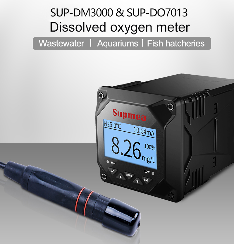 Electrochemical dissolved oxygen sensor